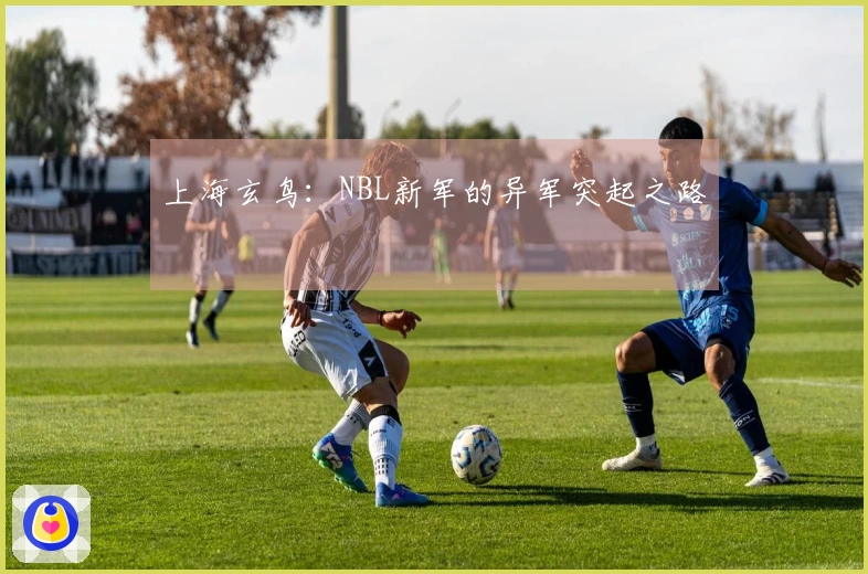 上海玄鸟:NBL新军的异军突起之路