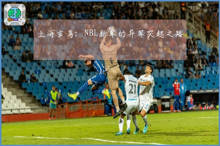 上海玄鸟：NBL新军的异军突起之路